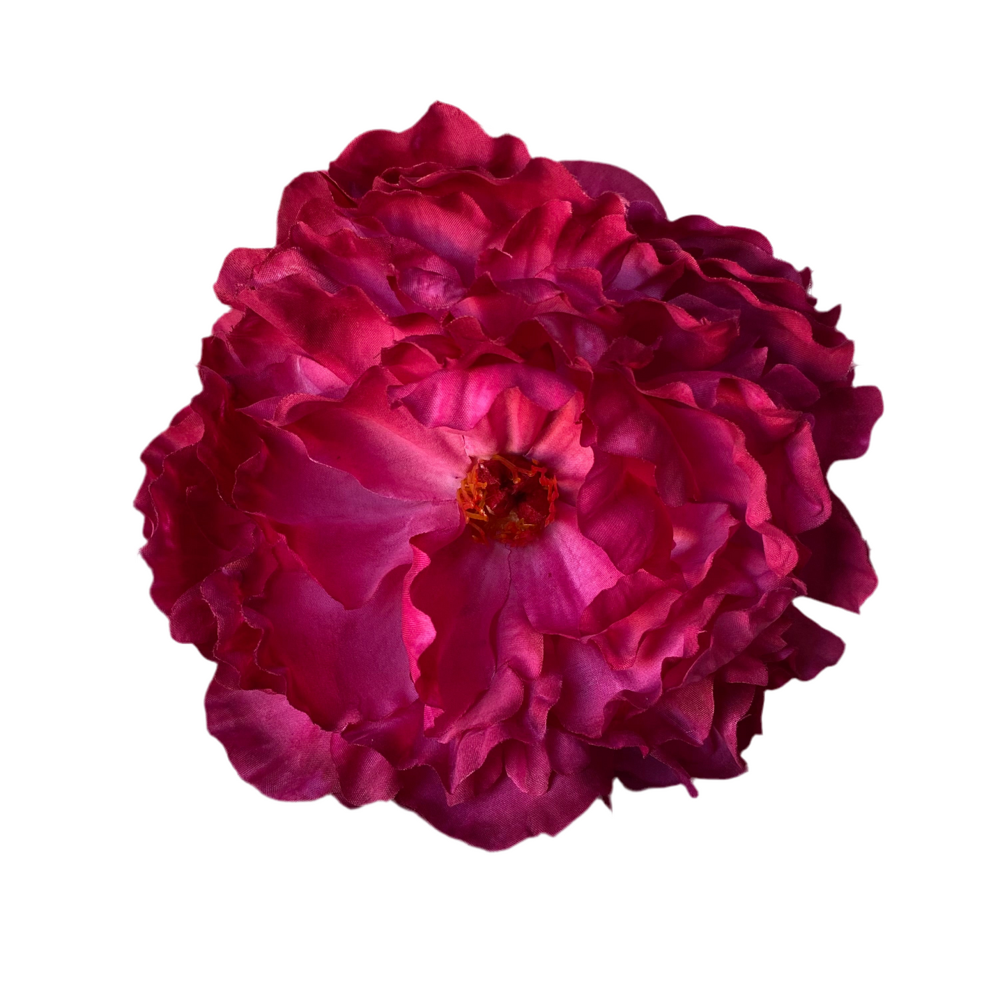FLOR PEONÍA MEDIANA FRAMBUESA