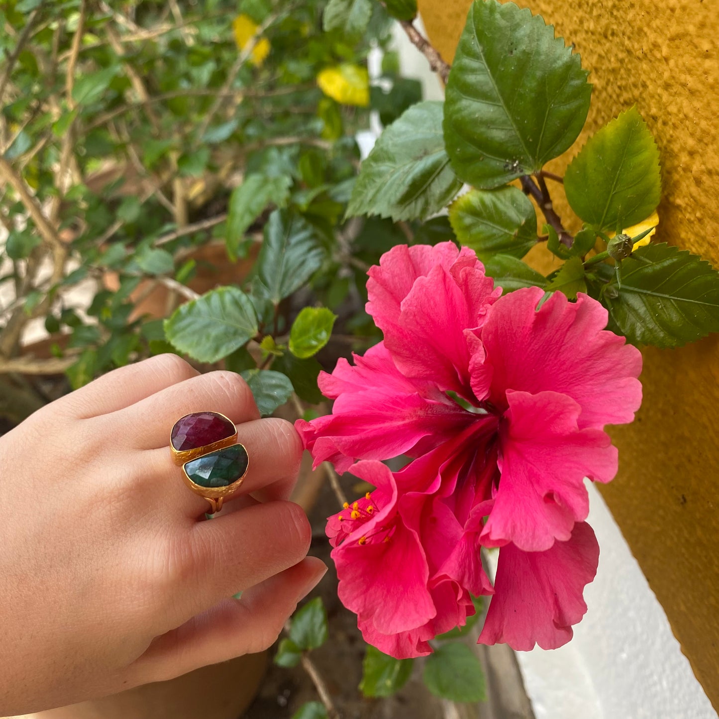 ANILLO SANDÍA